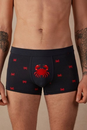 Pánské Boxer Intimissimi Crab in Stretch Supima® Bavlněné Blankyt | CZ FM3406