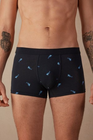 Pánské Boxer Intimissimi Shark in Stretch Supima® Bavlněné Blankyt Tmavě Šedé | CZ HK3404