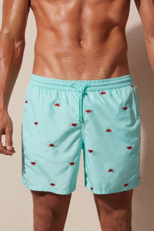 Pánské Plavky Intimissimi Embroidered Watermelon Světle Tyrkysové Zelene | CZ NB3297