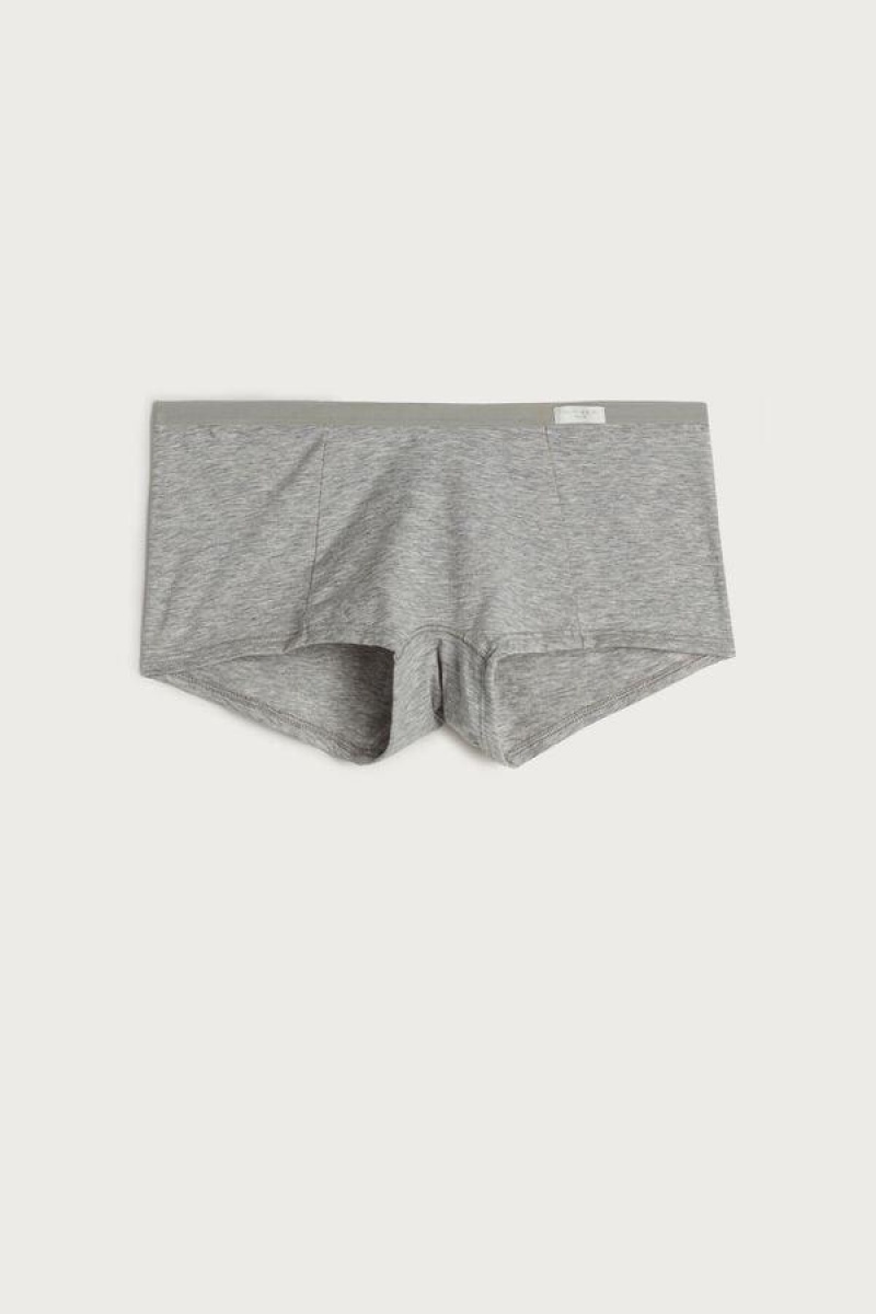 Dámské Kalhotky Intimissimi Bavlněné Boyshorts Světle Šedé | CZ GL3717