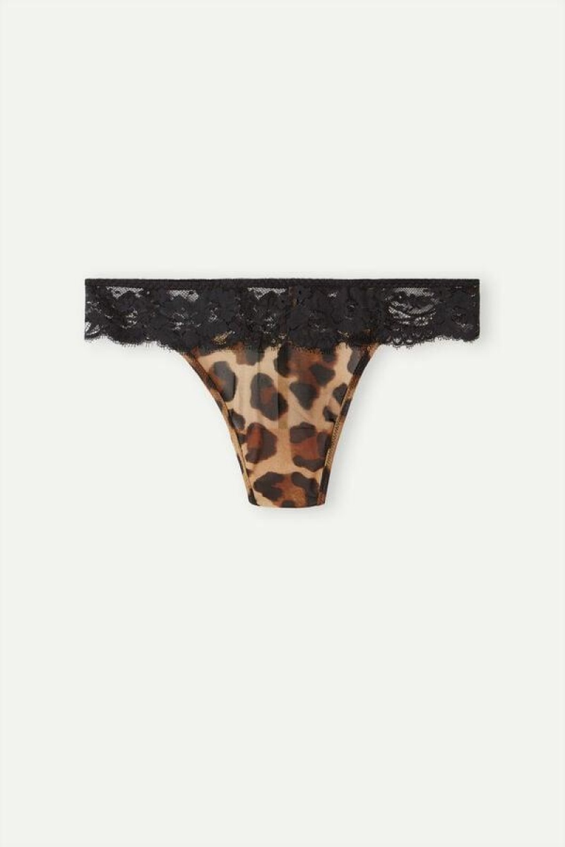 Dámské Kalhotky Intimissimi Lady Animalier Tanga Hnědé | CZ SO3790