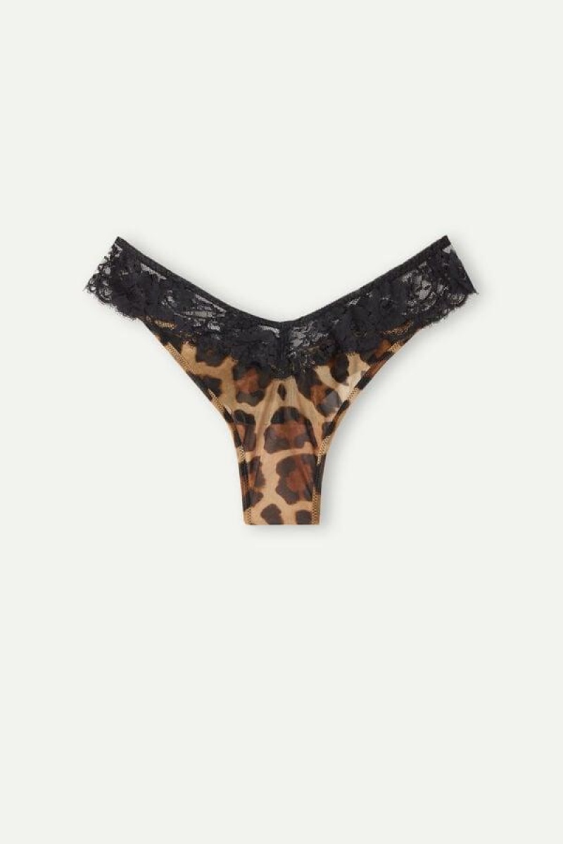 Dámské Kalhotky Intimissimi Lady Animalier ‘80s Style Brazilian Hnědé | CZ CE3553