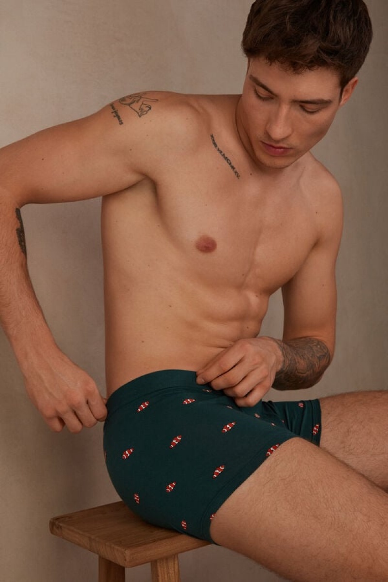 Pánské Boxer Intimissimi Clownfish in Stretch Supima® Bavlněné Tmavě Zelene | CZ GL3405