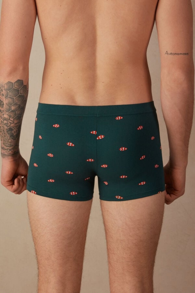 Pánské Boxer Intimissimi Clownfish in Stretch Supima® Bavlněné Tmavě Zelene | CZ GL3405