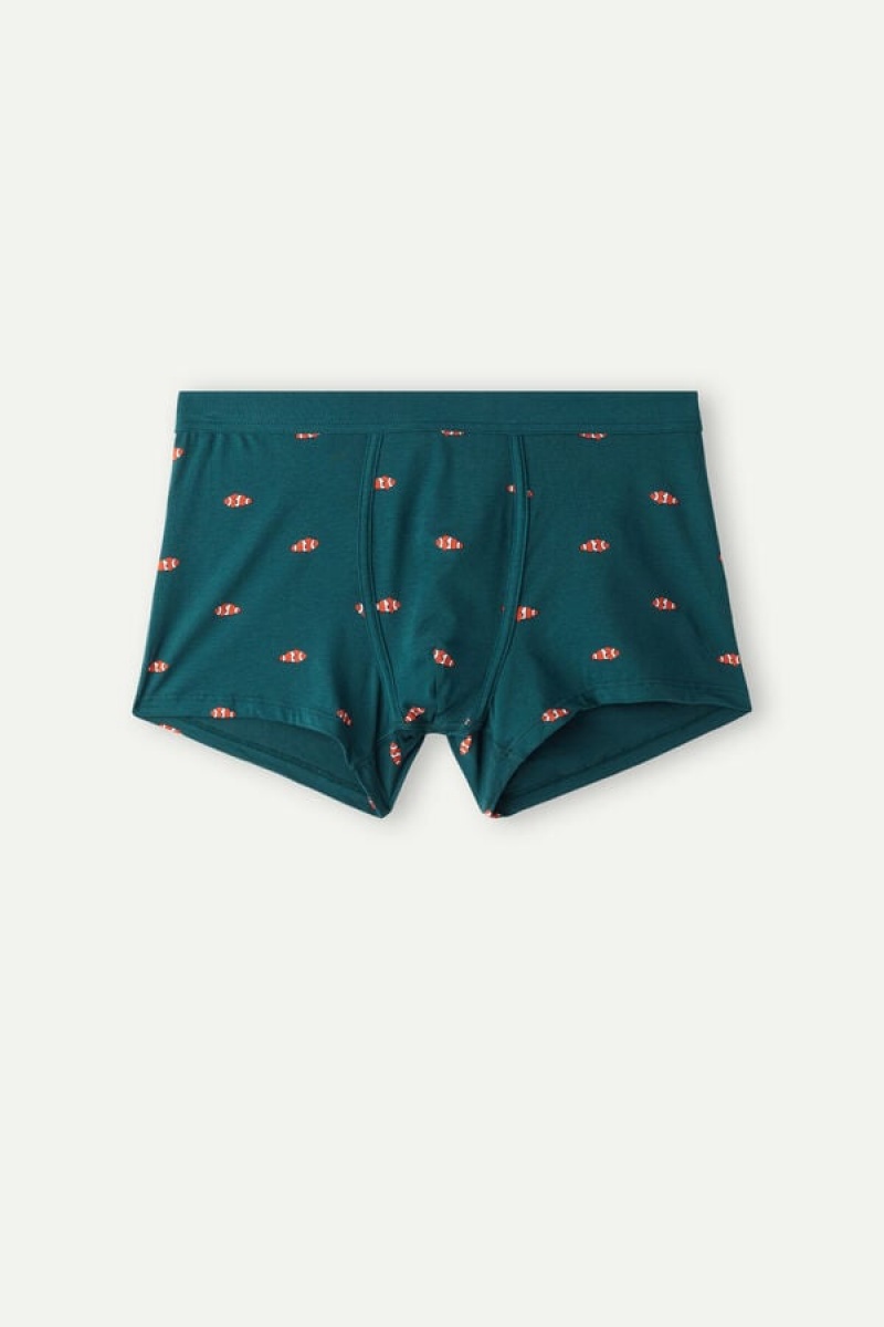 Pánské Boxer Intimissimi Clownfish in Stretch Supima® Bavlněné Tmavě Zelene | CZ GL3405