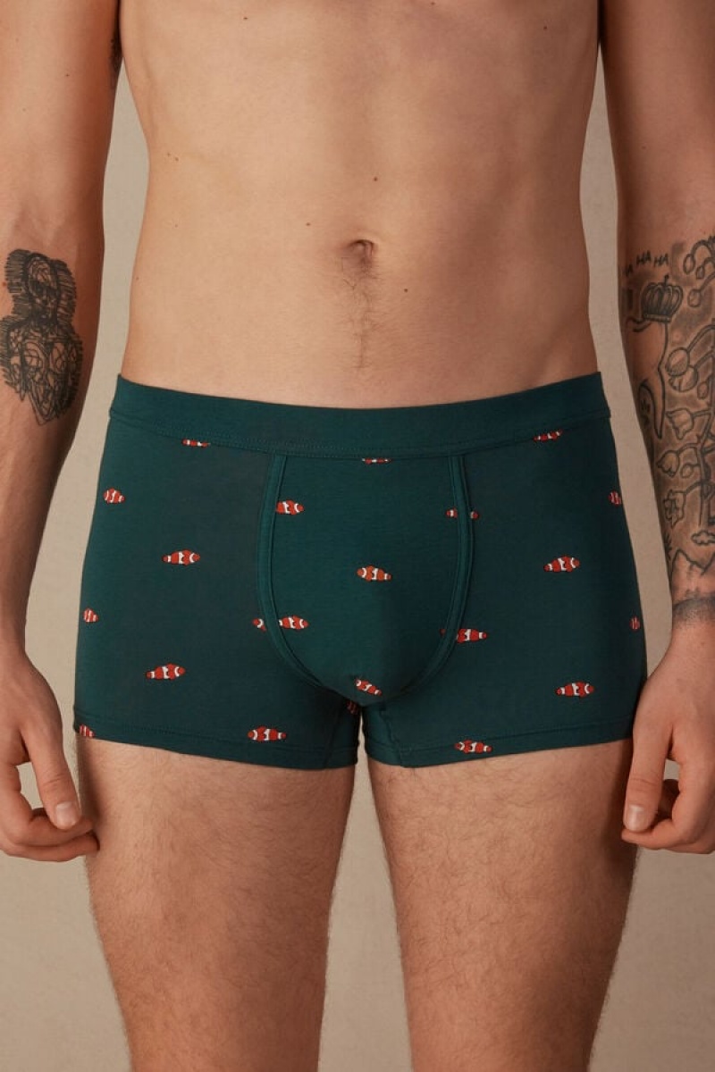 Pánské Boxer Intimissimi Clownfish in Stretch Supima® Bavlněné Tmavě Zelene | CZ GL3405