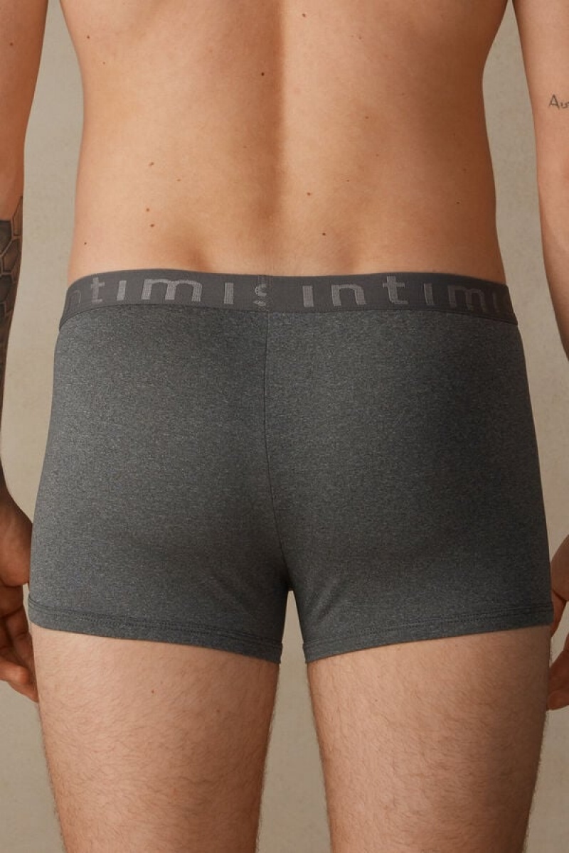 Pánské Boxer Intimissimi Microfiber Logo Shorts Tmavě Šedé | CZ FM3483