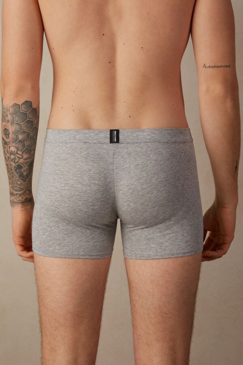 Pánské Boxer Intimissimi Natural Fresh Supima® Bavlněné Světle Šedé | CZ GL3482