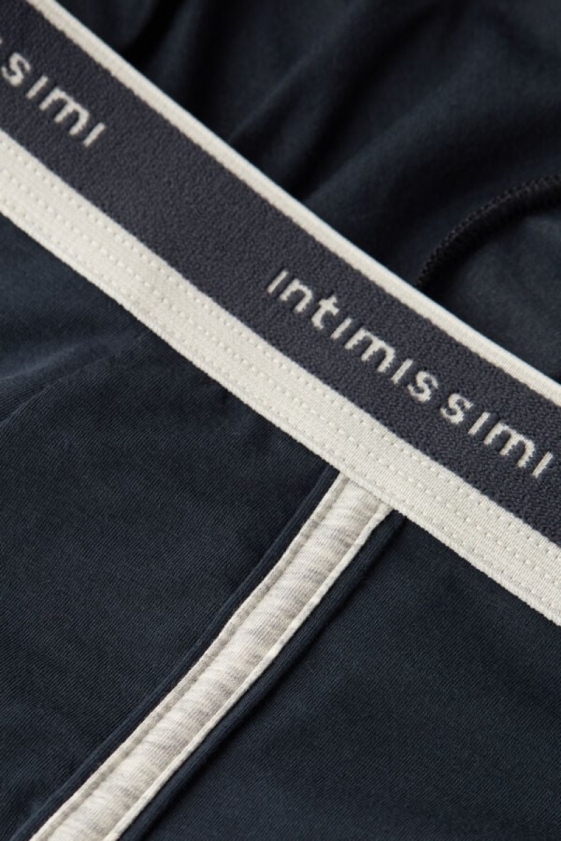 Pánské Boxer Intimissimi Natural Fresh Supima® Bavlněné with Logo Blankyt Světle Šedé | CZ RW3389