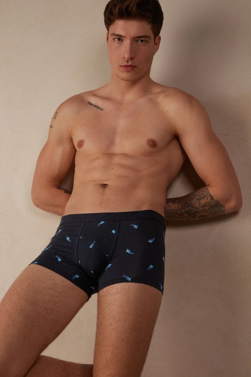 Pánské Boxer Intimissimi Shark in Stretch Supima® Bavlněné Blankyt Tmavě Šedé | CZ HK3404