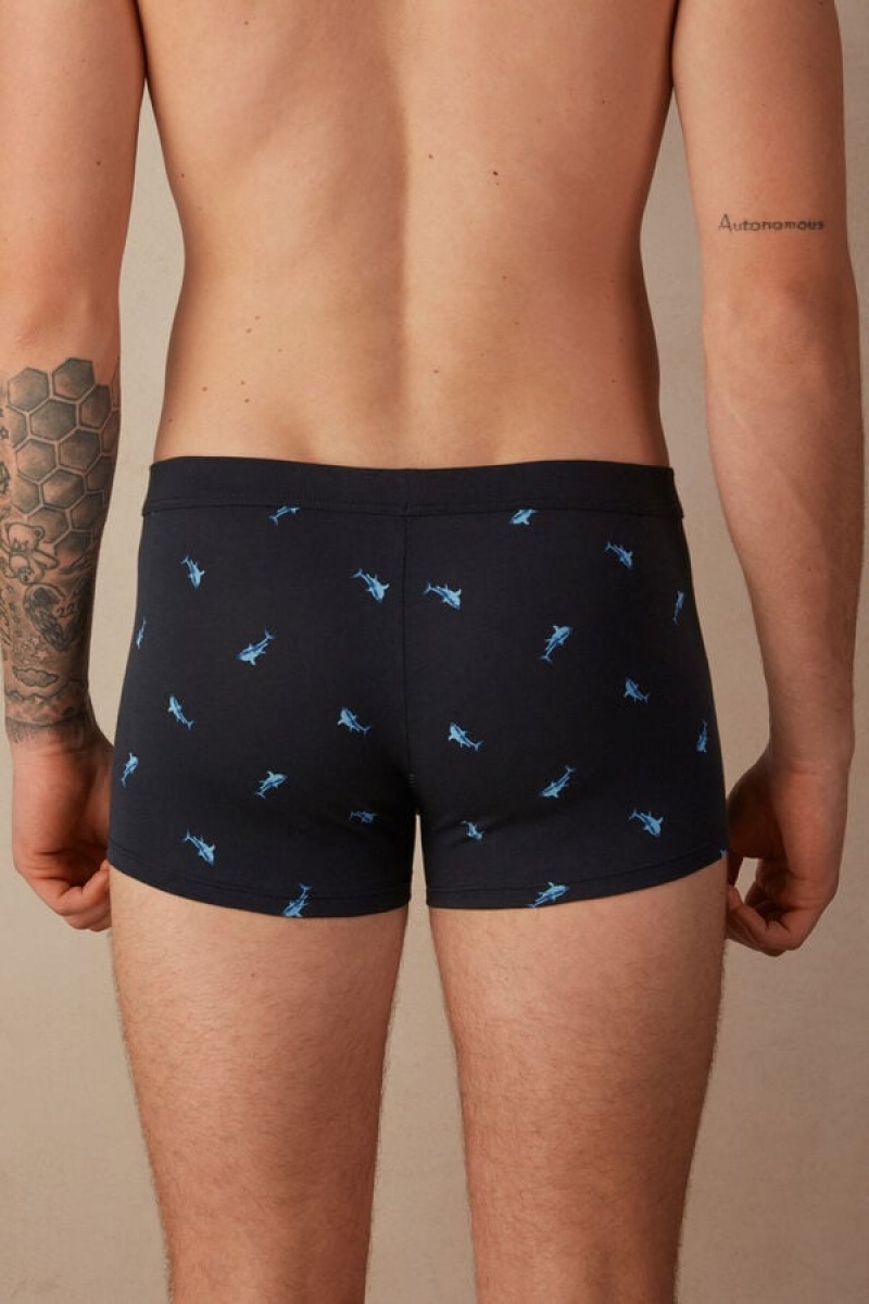 Pánské Boxer Intimissimi Shark in Stretch Supima® Bavlněné Blankyt Tmavě Šedé | CZ HK3404