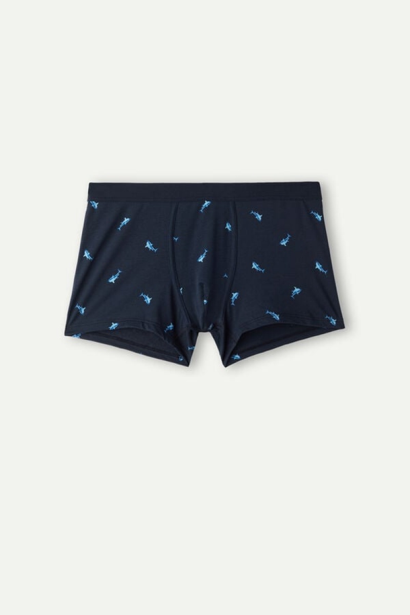 Pánské Boxer Intimissimi Shark in Stretch Supima® Bavlněné Blankyt Tmavě Šedé | CZ HK3404