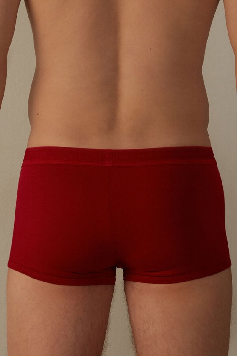 Pánské Boxer Intimissimi Stretch Supima® Bavlněné Shorts with Logo Detail Červené Červené | CZ MA3445