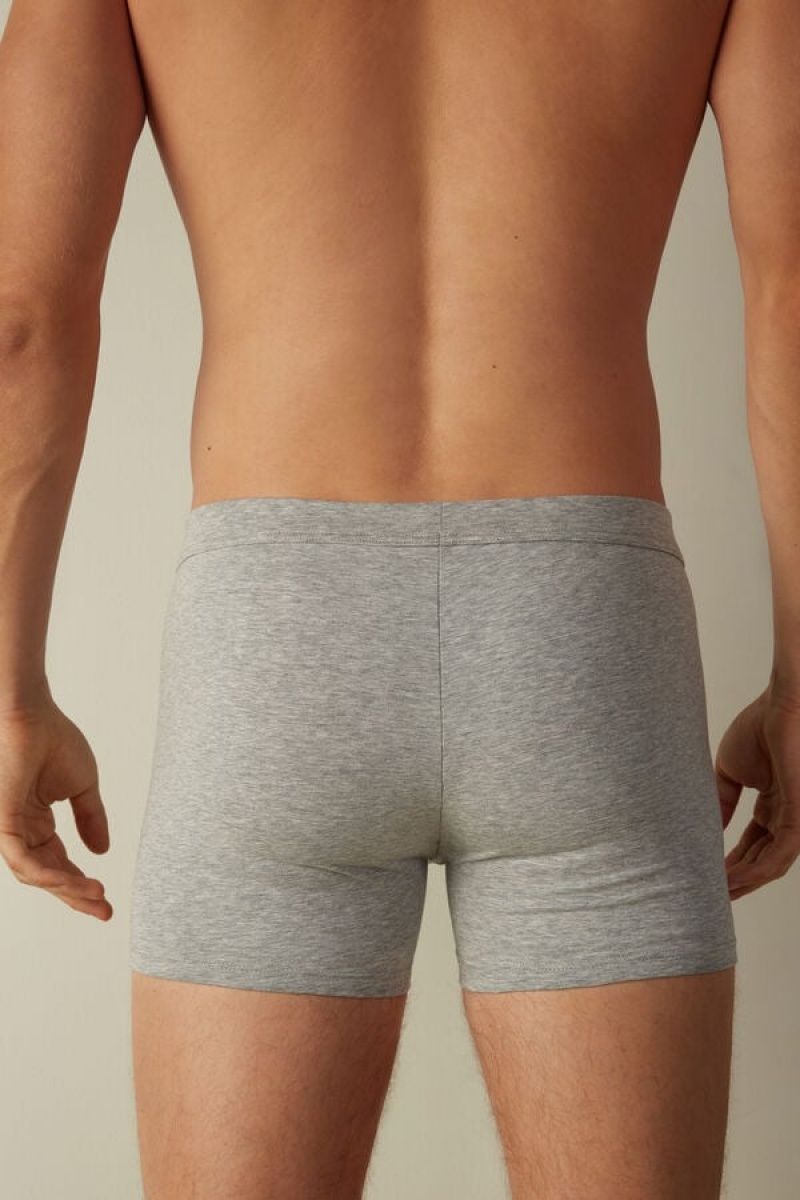 Pánské Boxer Intimissimi Supima® Bavlněné Loose Fit Světle Šedé | CZ HK3456