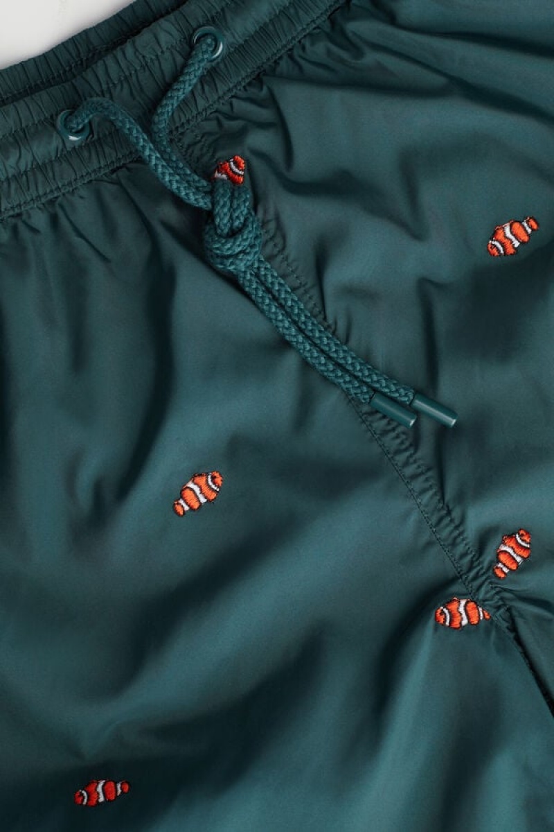 Pánské Koupací Šortky Intimissimi Embroidered Clownfish Tmavě Zelene | CZ NB3323