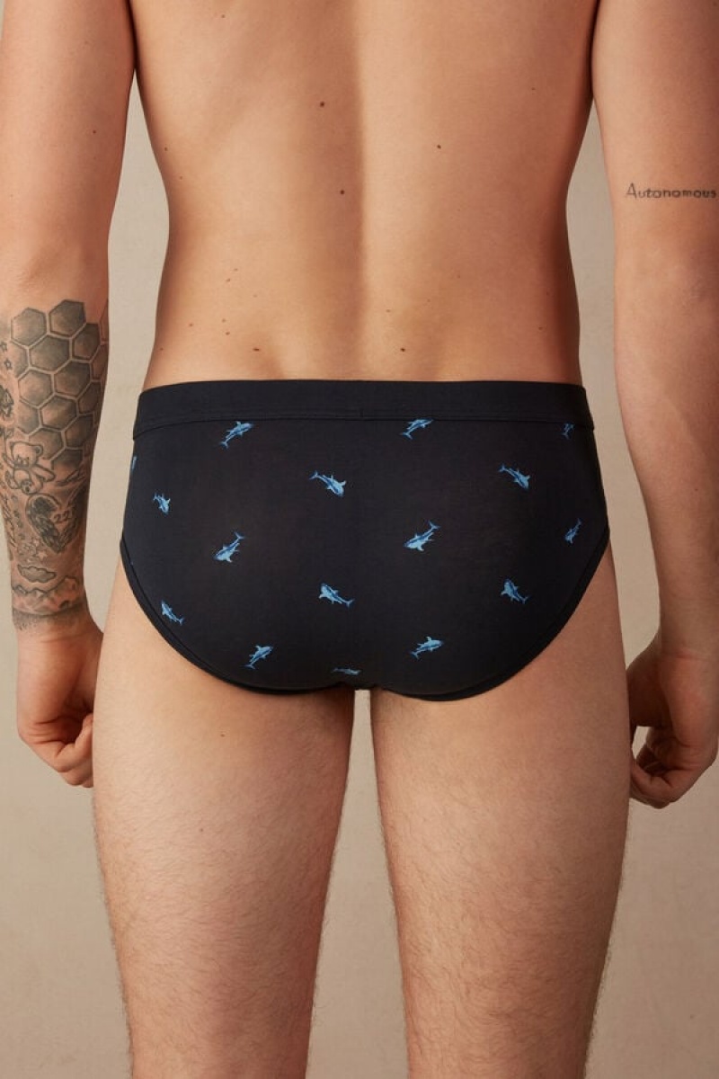 Pánské Slipy Intimissimi Shark in Stretch Supima® Bavlněné Blankyt Tmavě Šedé | CZ OR3340